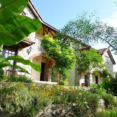 Guest house Mountain 3*
