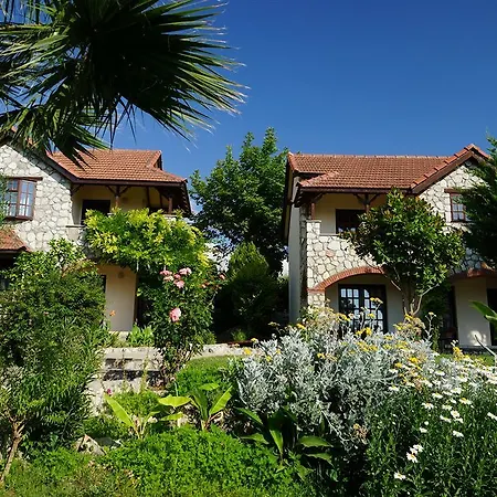Guest house Mountain